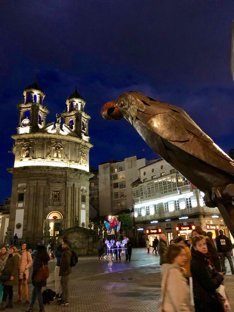 Loro Ravachol en Pontevedra