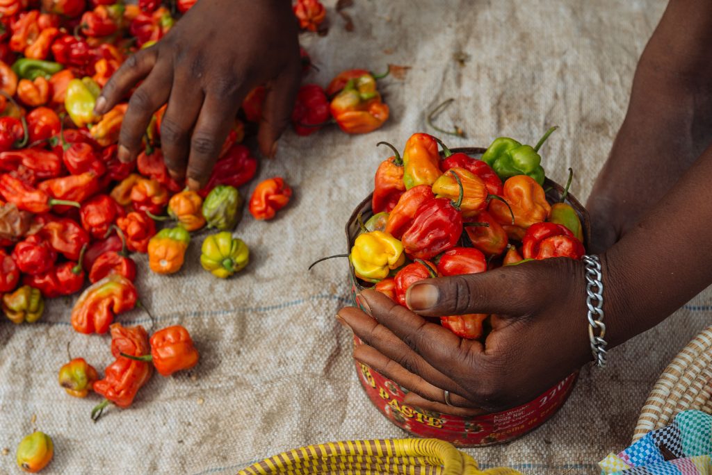 Manos de vendedora de chiles en mercado de Tanji, Gambia