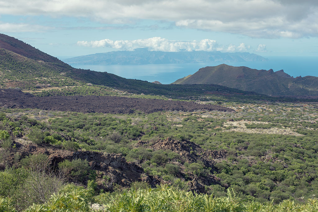 Panorámica ruta de los almendros