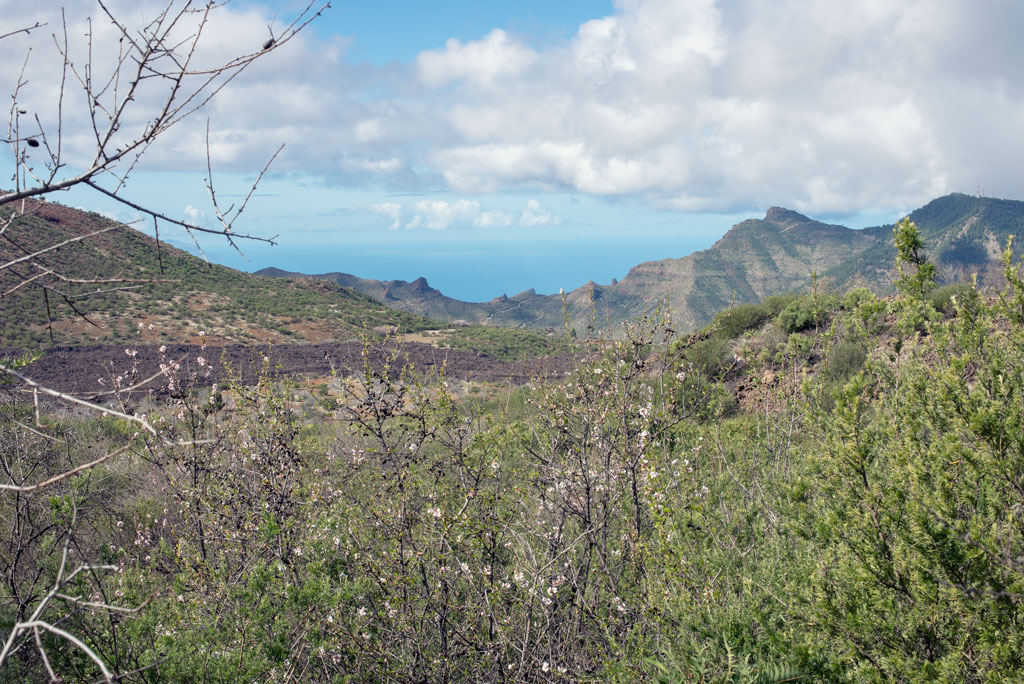 Vista del valle de arriba 