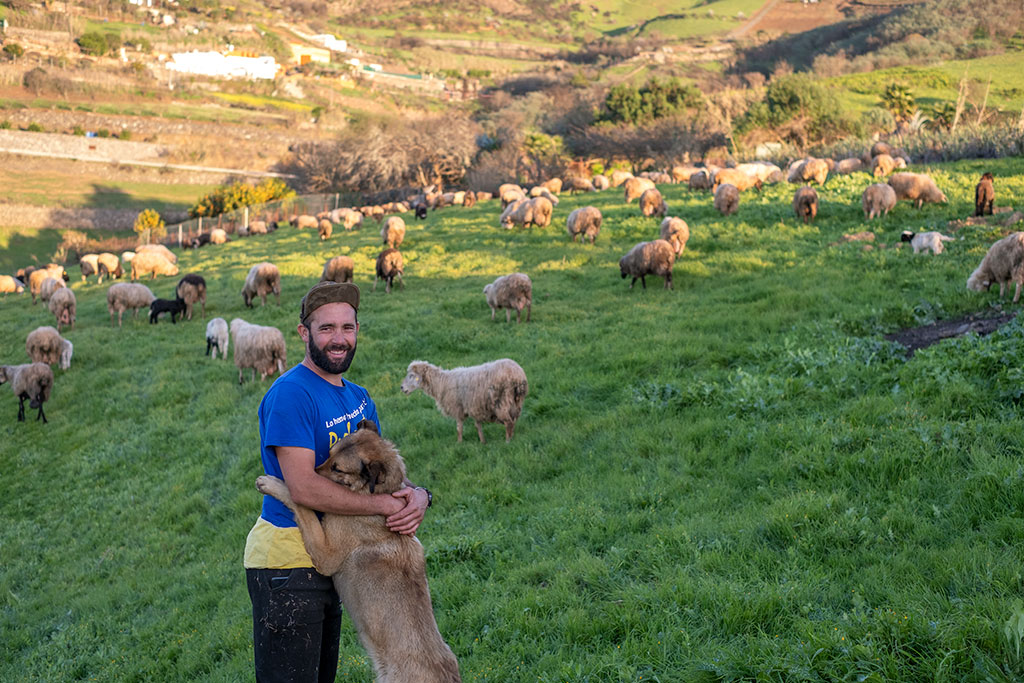 Pastor en cumbre de Gran Canaria