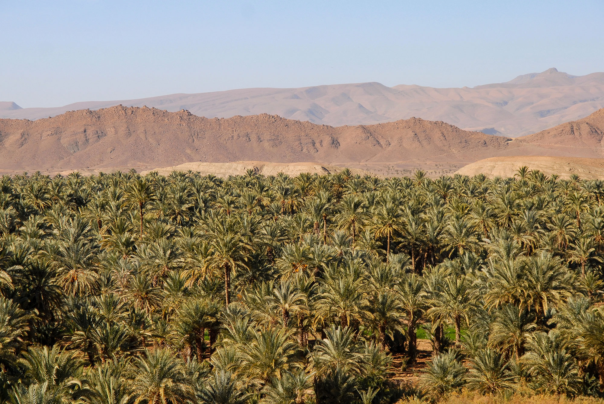 10 lugares imprescindibles para descubrir Marruecos: Valle del Draa