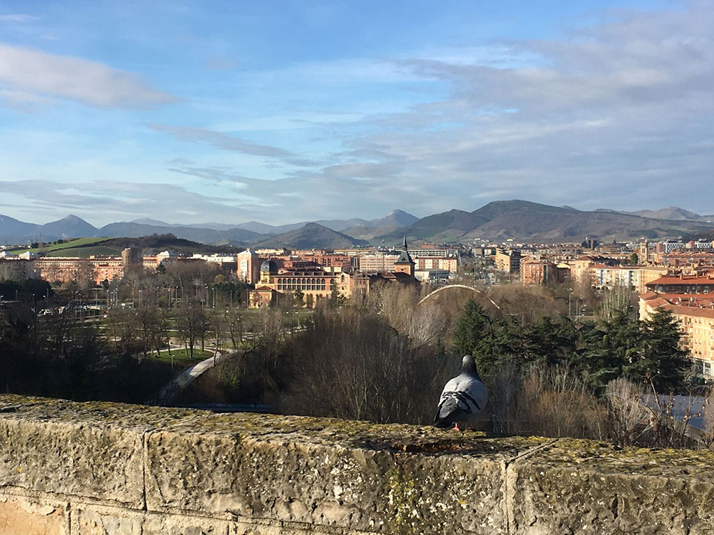 Vista de Pamplona desde las Murallas