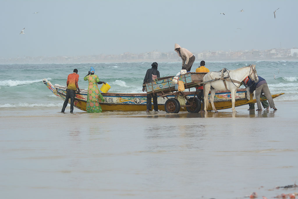 Senegal 10 lugares imprescindibels