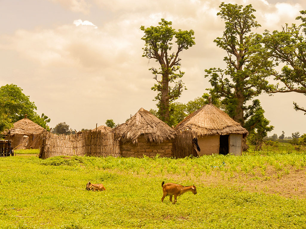 Senegal Pais Bassari