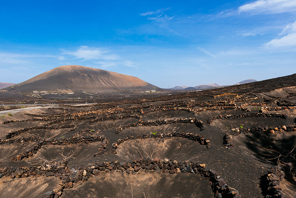 Paisaje de La Geria, la mirada de César Manrique