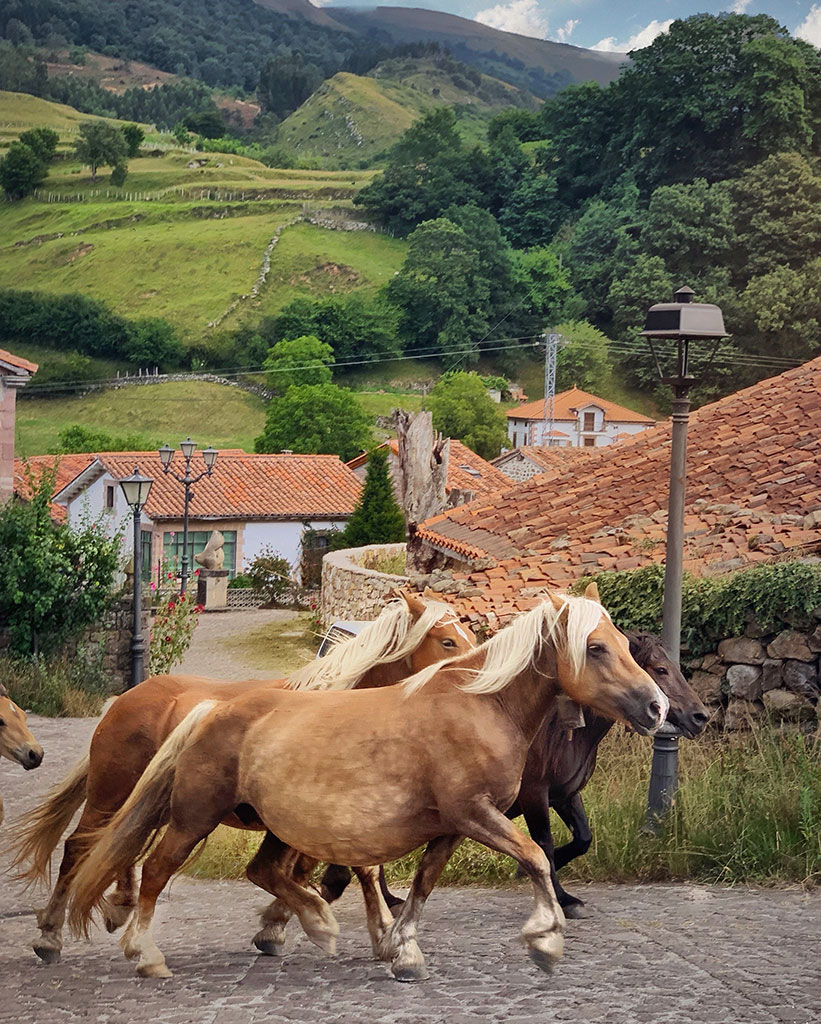 Caballos salvajes en Carmona