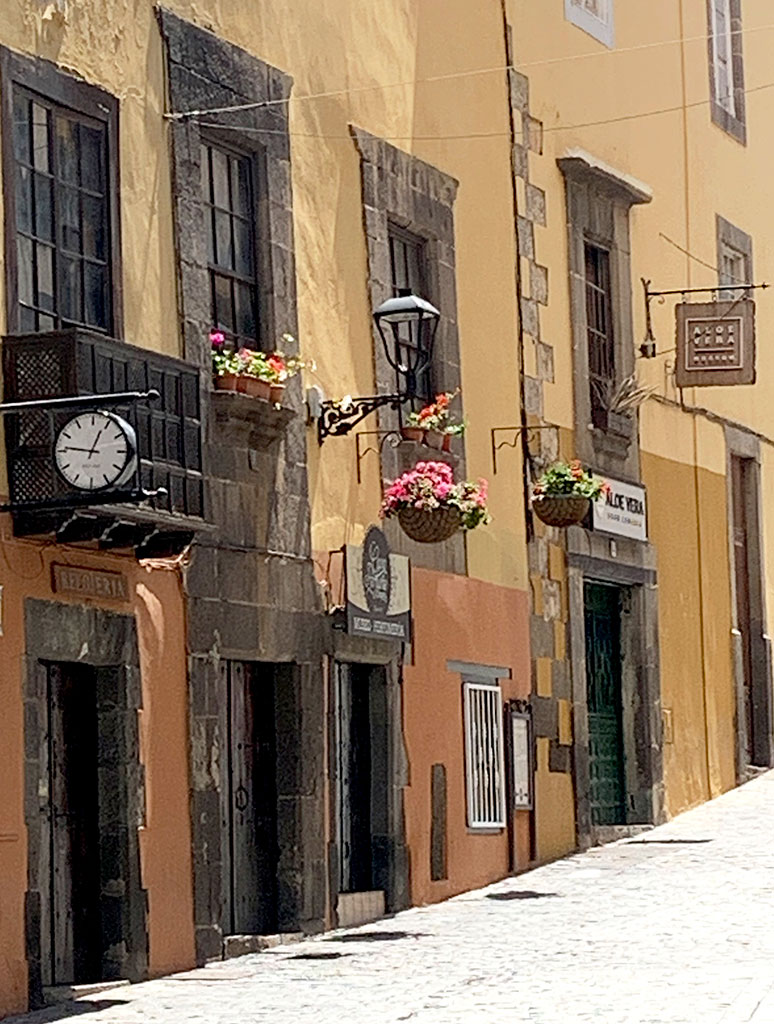 Calle con casas históricas en Vegueta