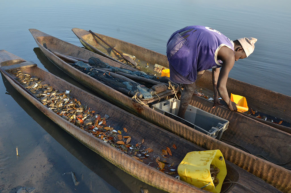 Casamance barca