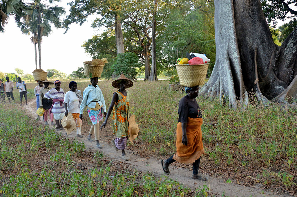 Casamance