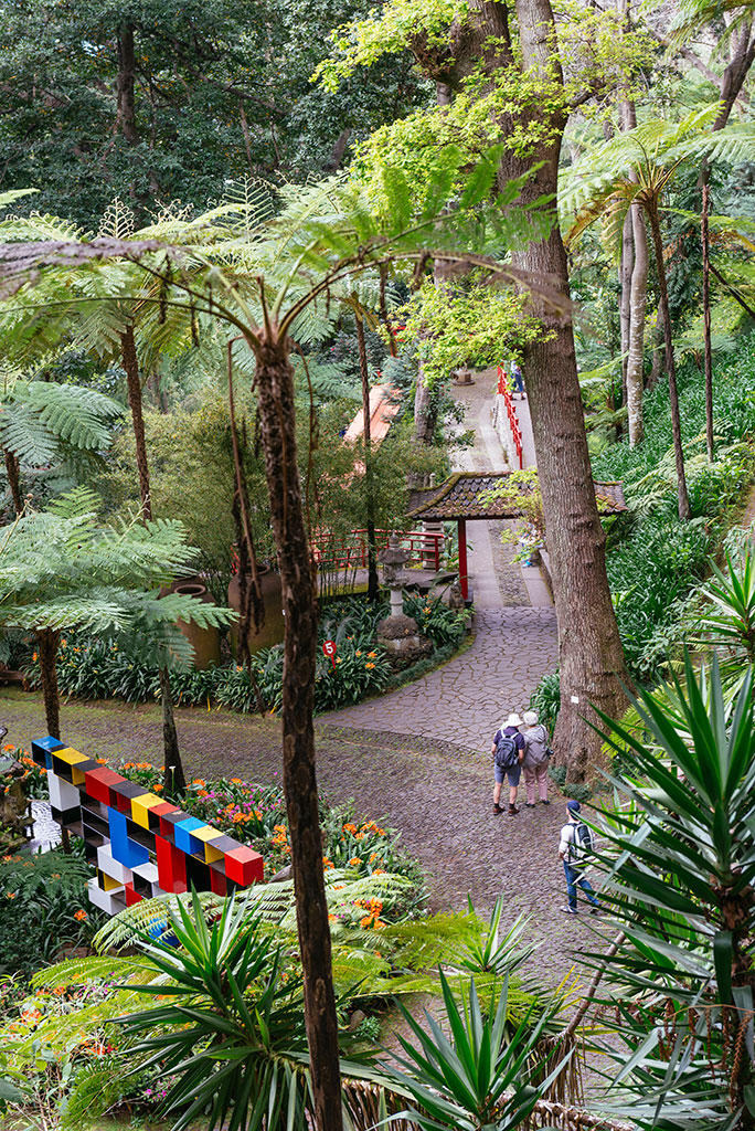 Arte y naturaleza en Monte Palacio