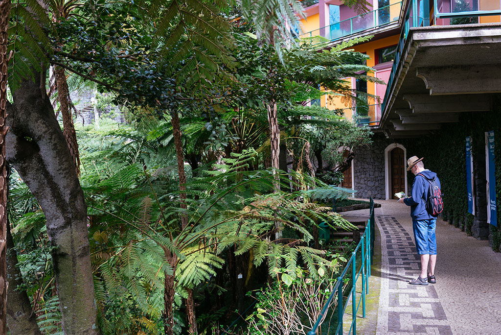 Jardim Tropical de Monte Palace
