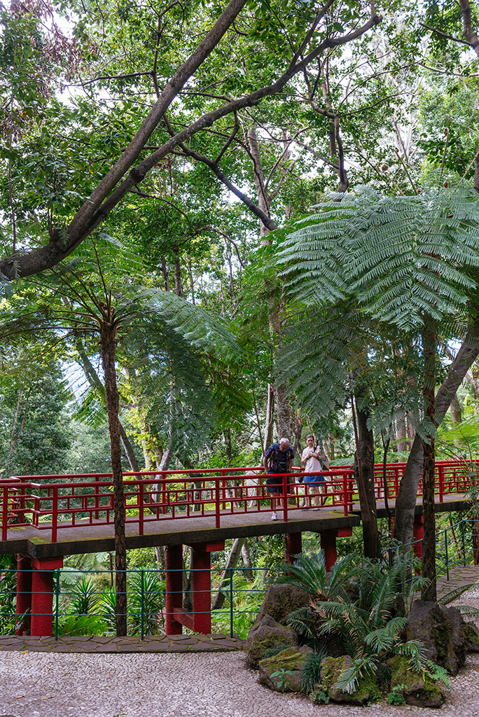 Puente japonés en jardines de Monte Palacio