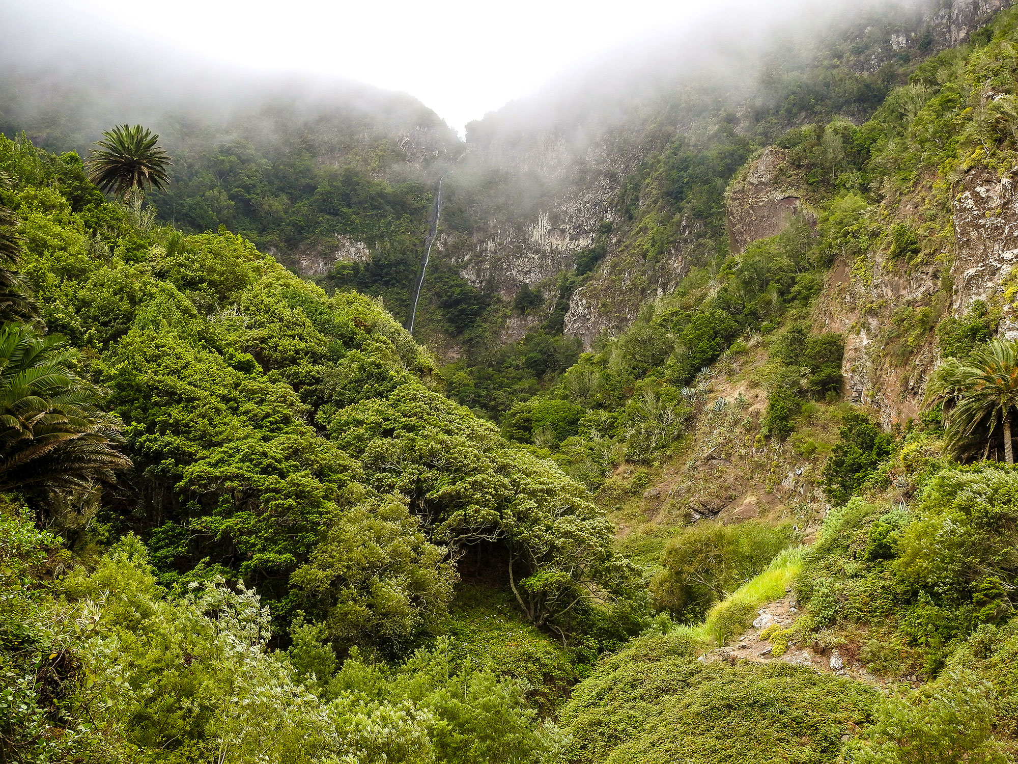 Salto del Cedro en Garajonay