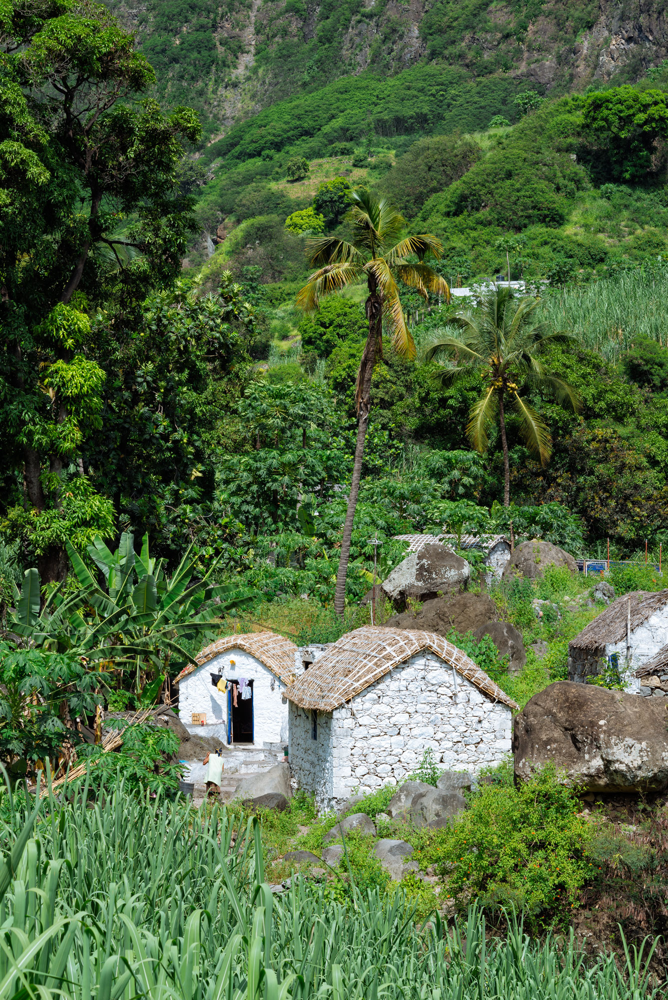 Casas de Paul