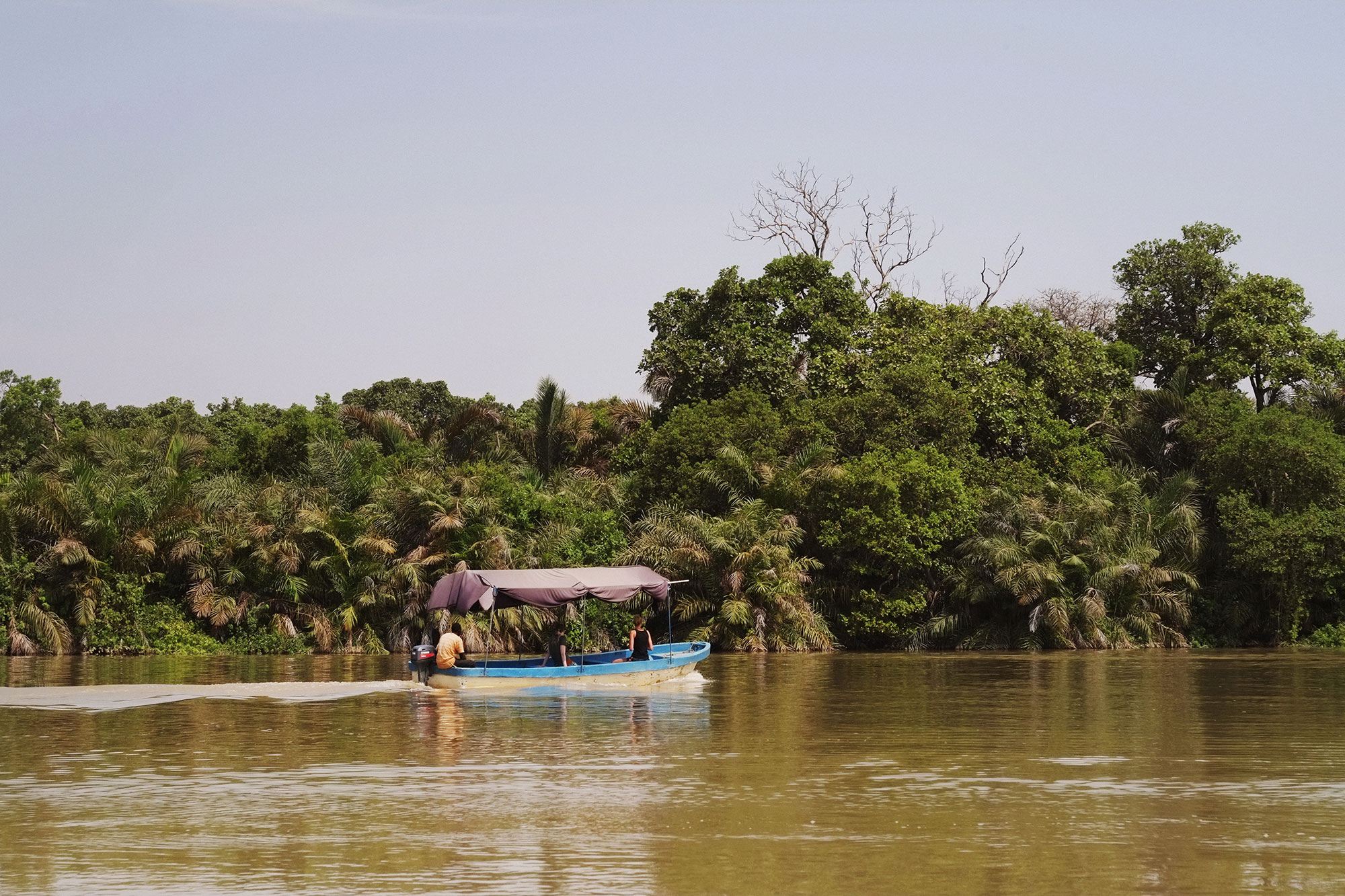 Rio Gambia