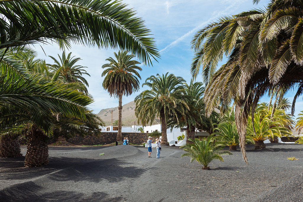 Jardín Casa César Manrique