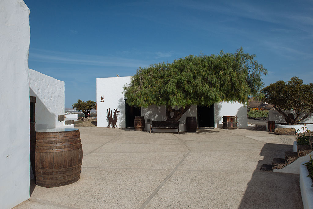 Patio Bodega El Grifo. Bodegas de Lanzarote