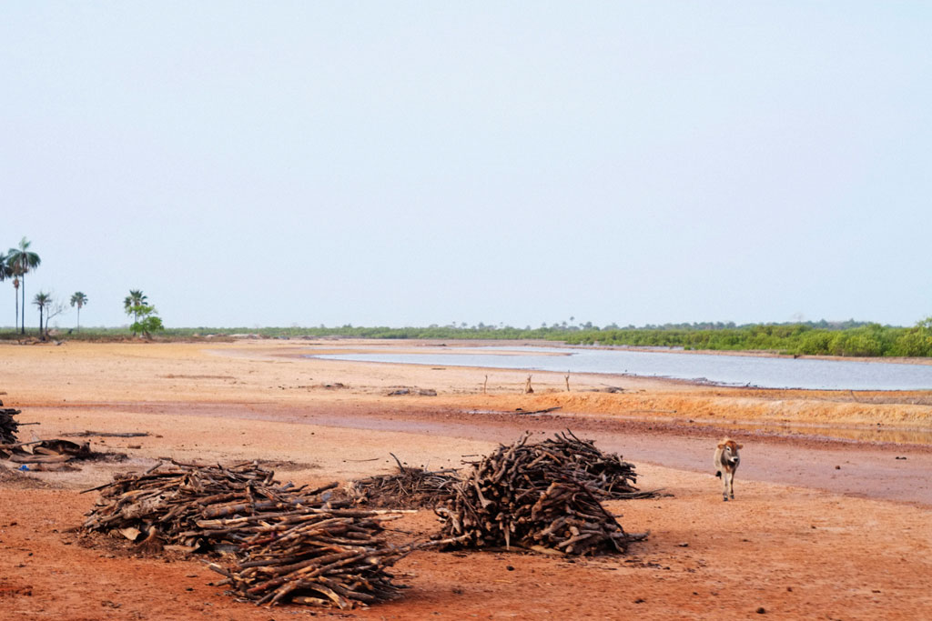 Orillas del Rio Gambia