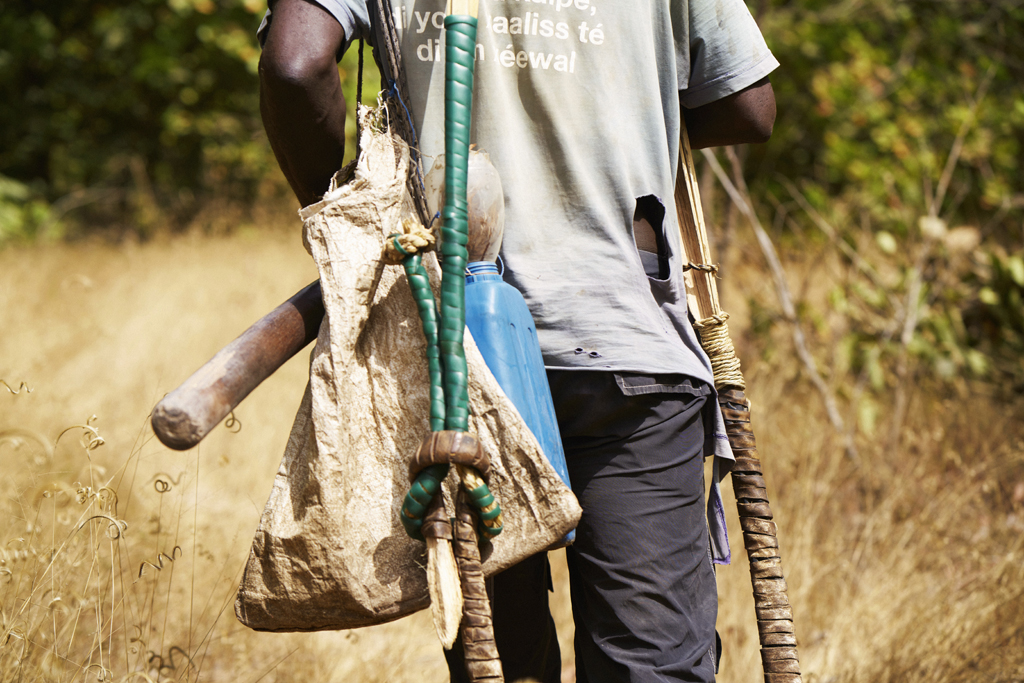 Aventura en Casamance, vino de palma