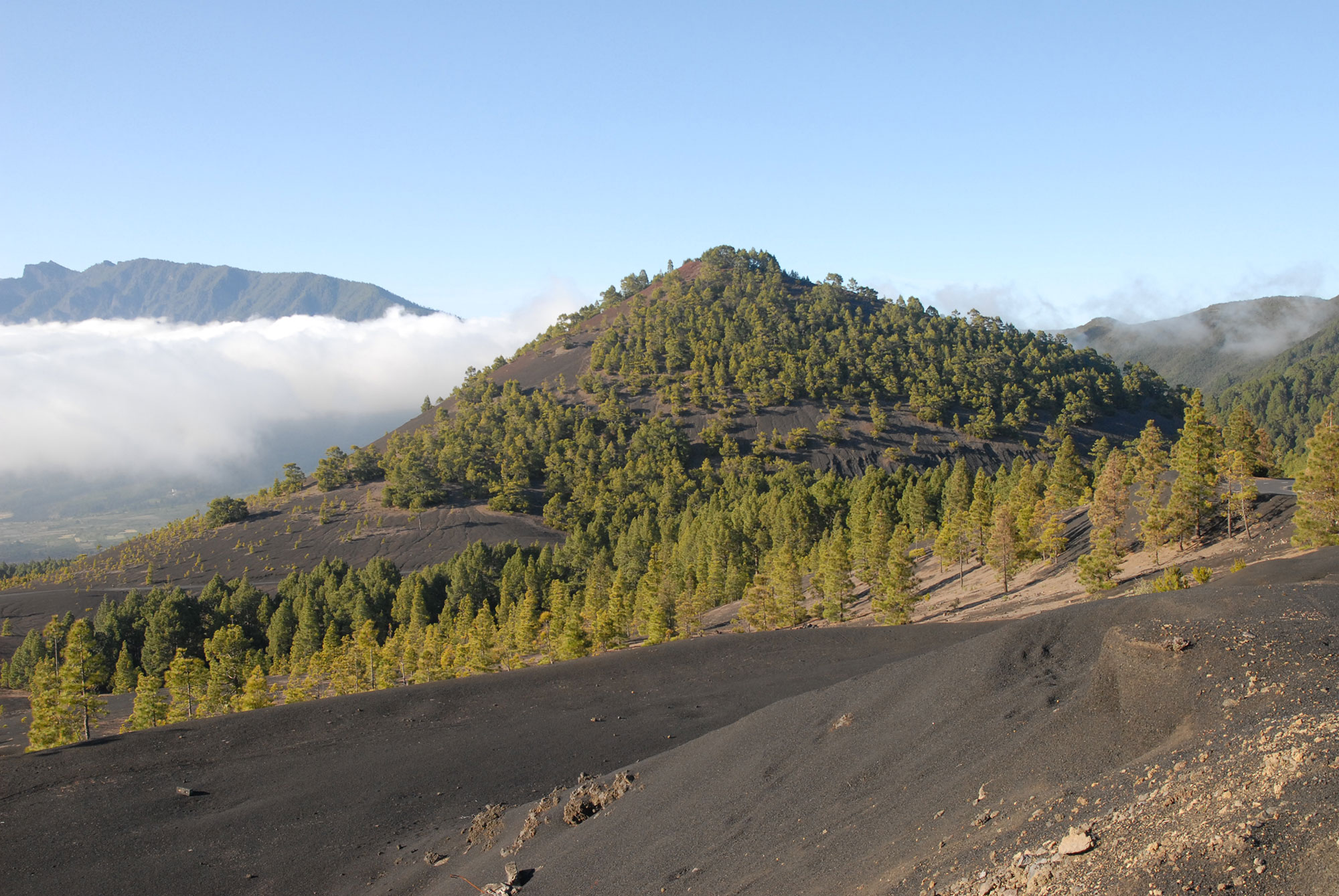 Cumbre Nueva La Palma, ecoturismo en la Palma