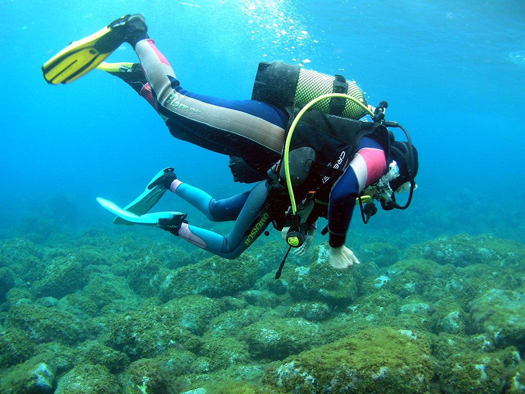 Bautizo de buceo en El Hierro