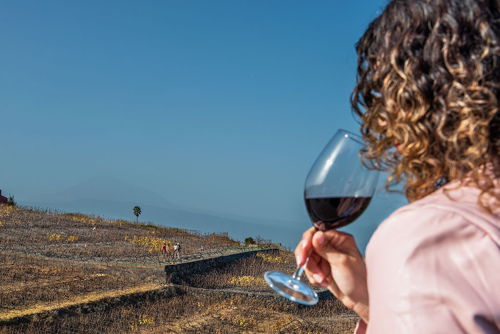 Chica bebiendo vino en Picnic entre viñedos