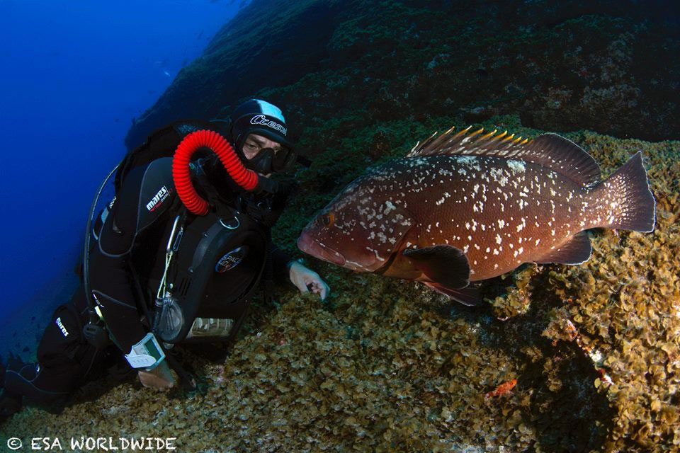 Buceador en el Hierro