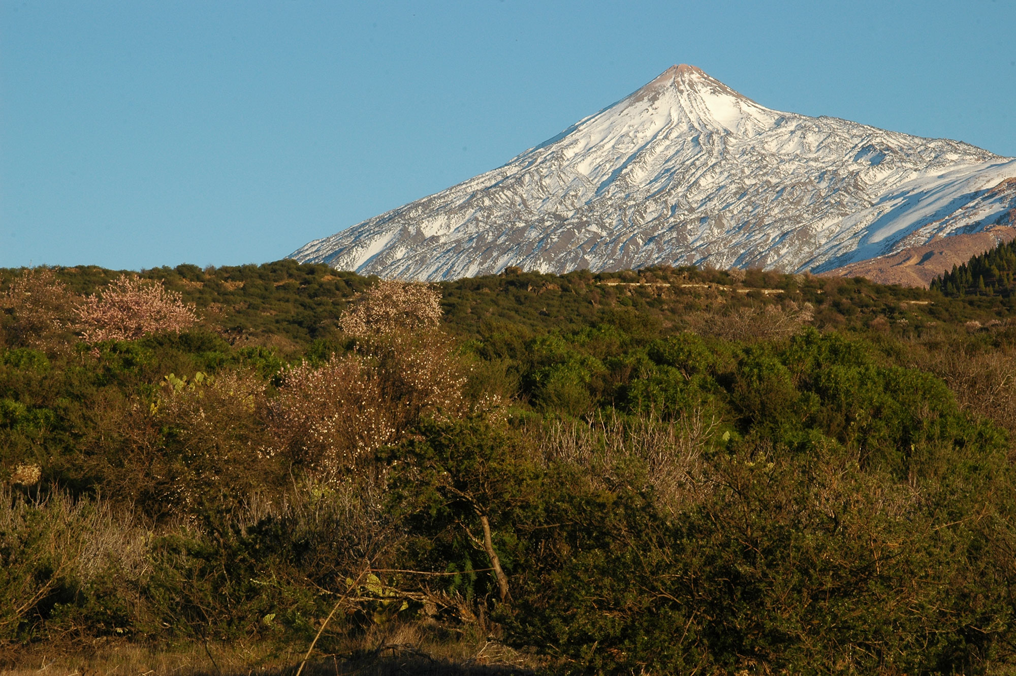 El Teide desde Parque Rural de Teno