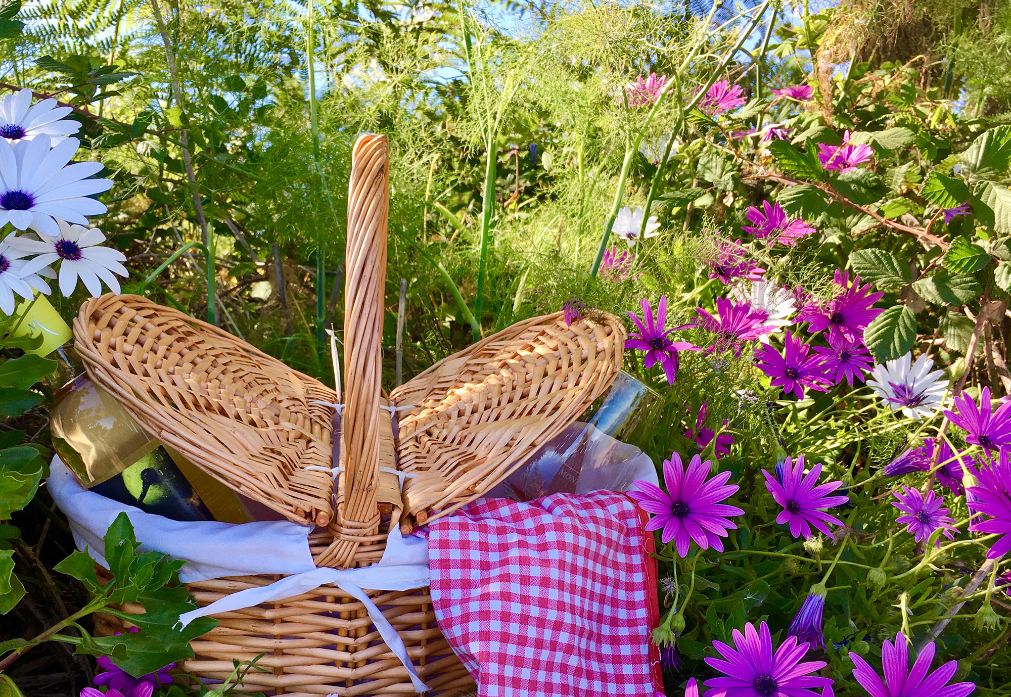 Picnic entre viñedos