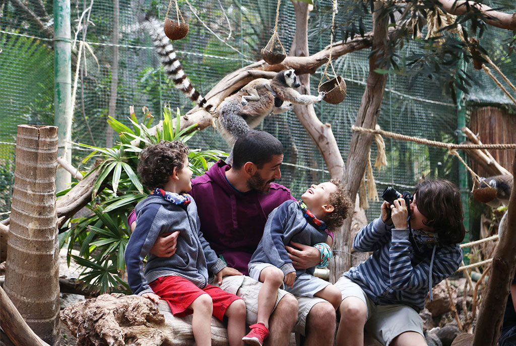 Lemures en Oasis Wildlife Fuerteventura