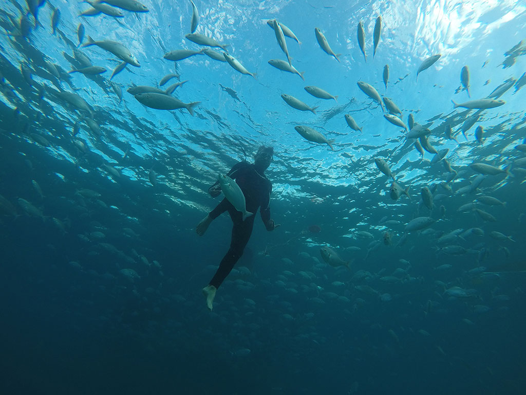 Buceo en islote de lobos