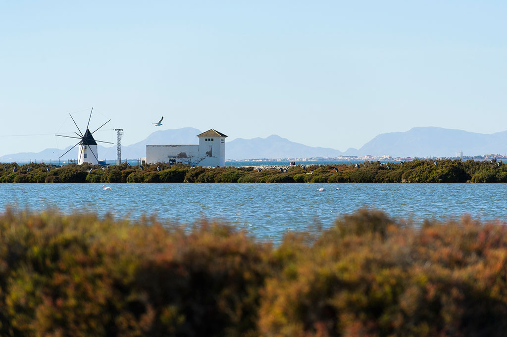 Mar Menor Murcia en verano