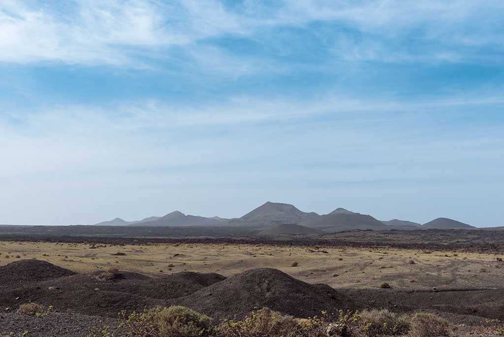 Saramago en Lanzarote