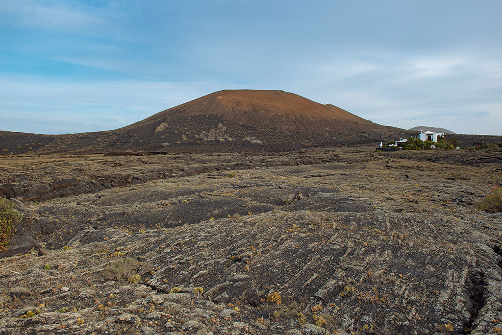 Saramago en Lanzarote