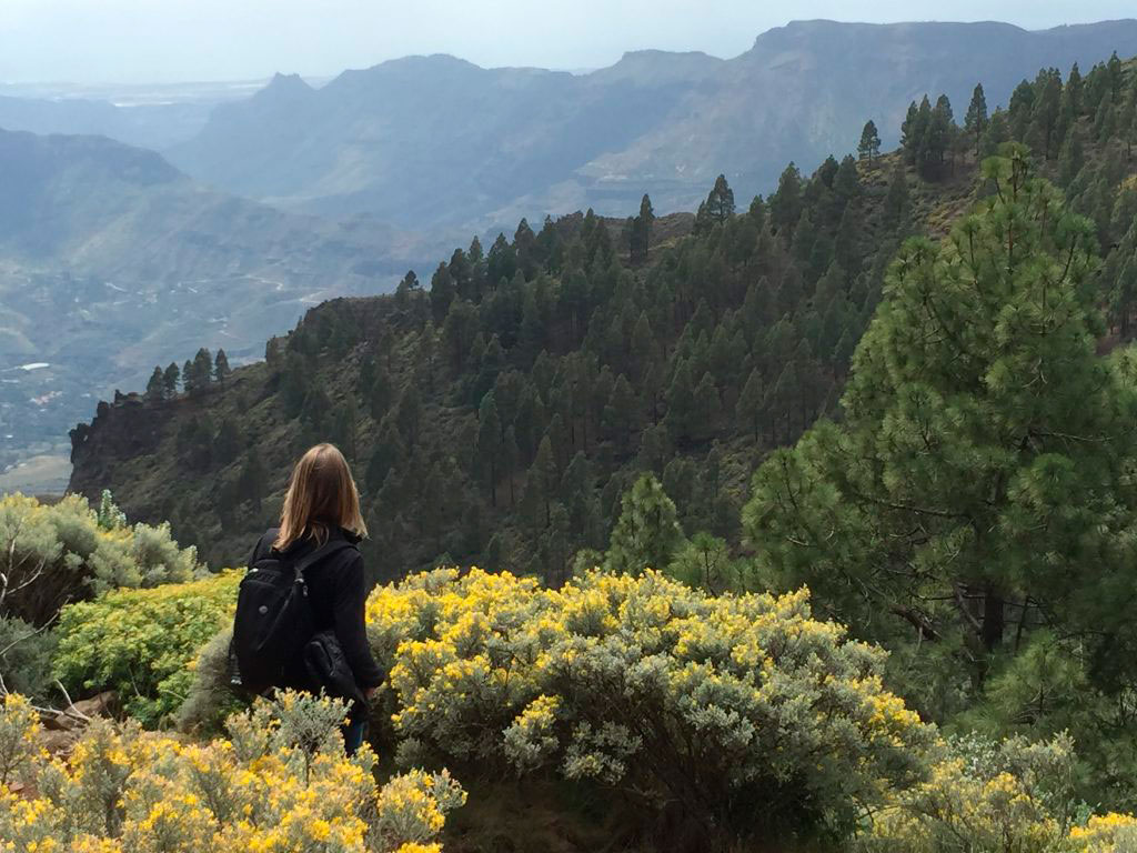 Triángulo de Naturaleza en Gran Canaria