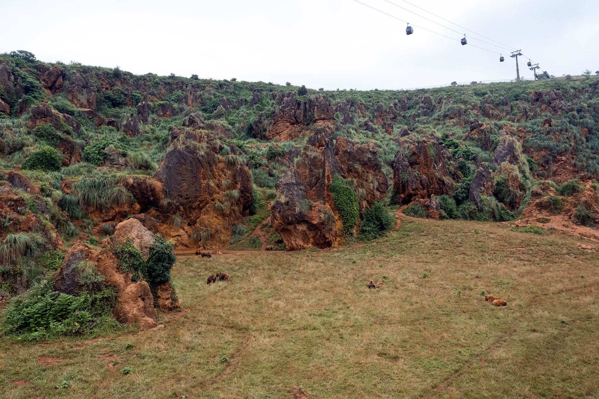 Vistas desde el aire de zona de osos en Cabárceno