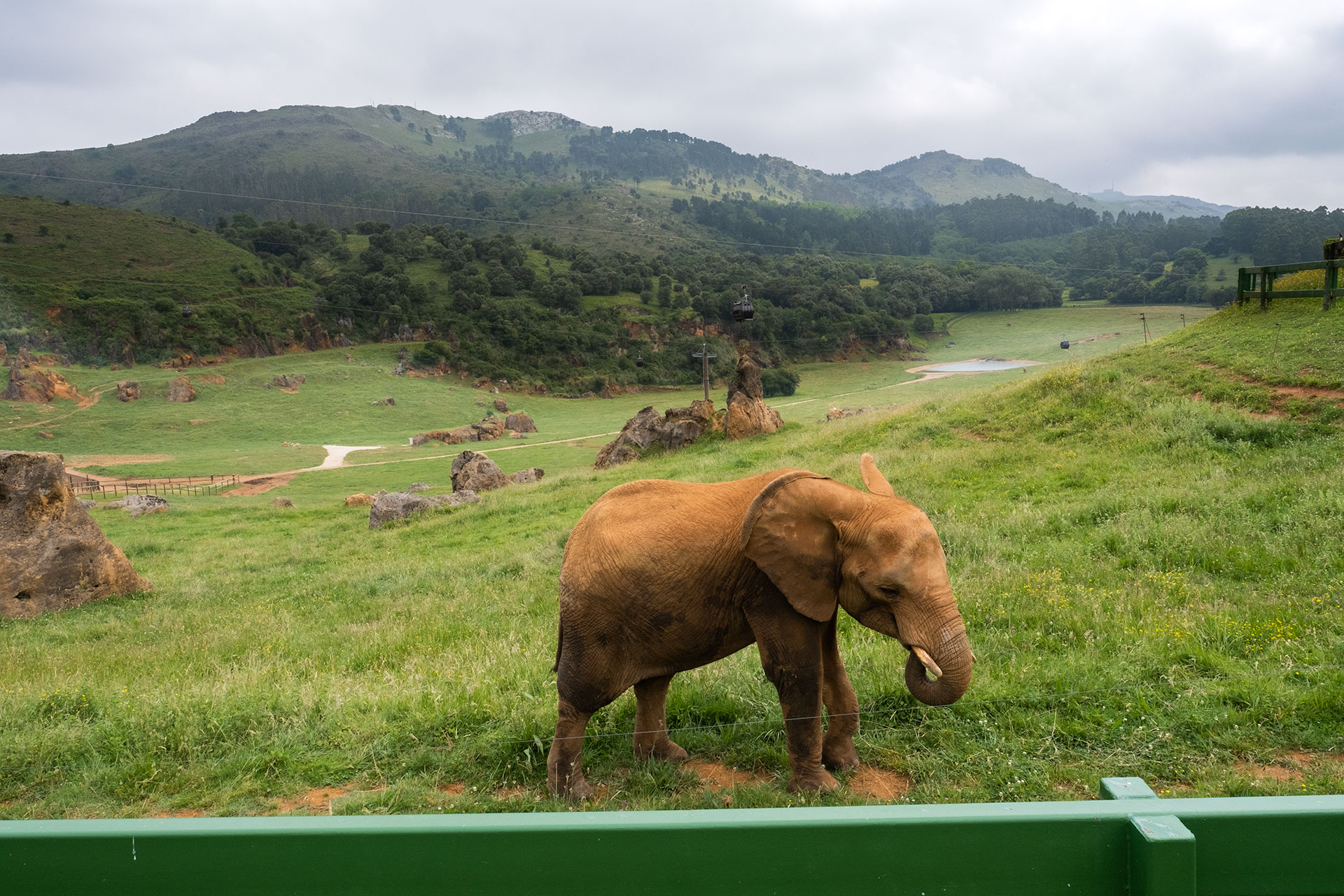 Elefantes en Parque Natural de Cabárceno