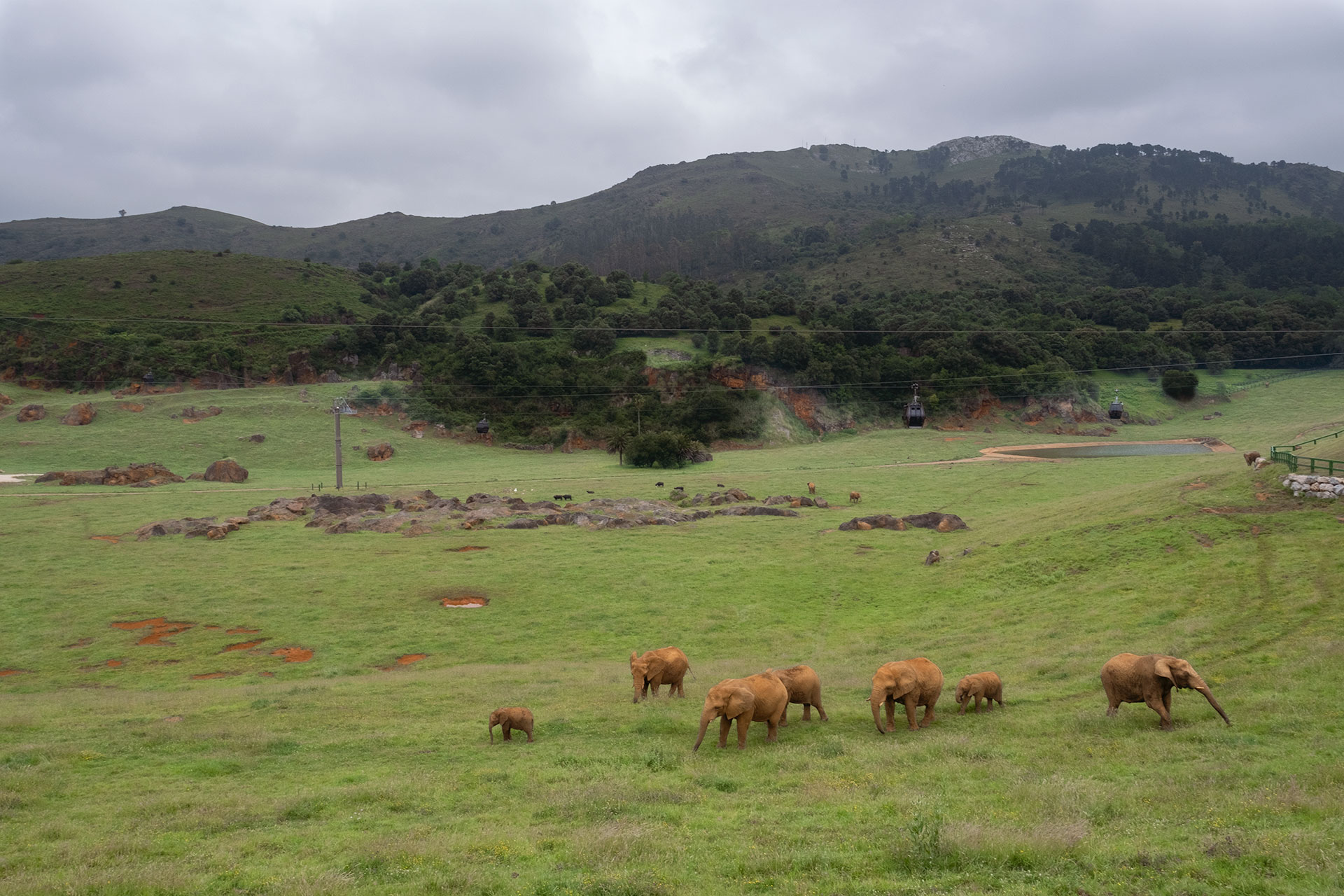 Parque de la Naturaleza de Cabárceno