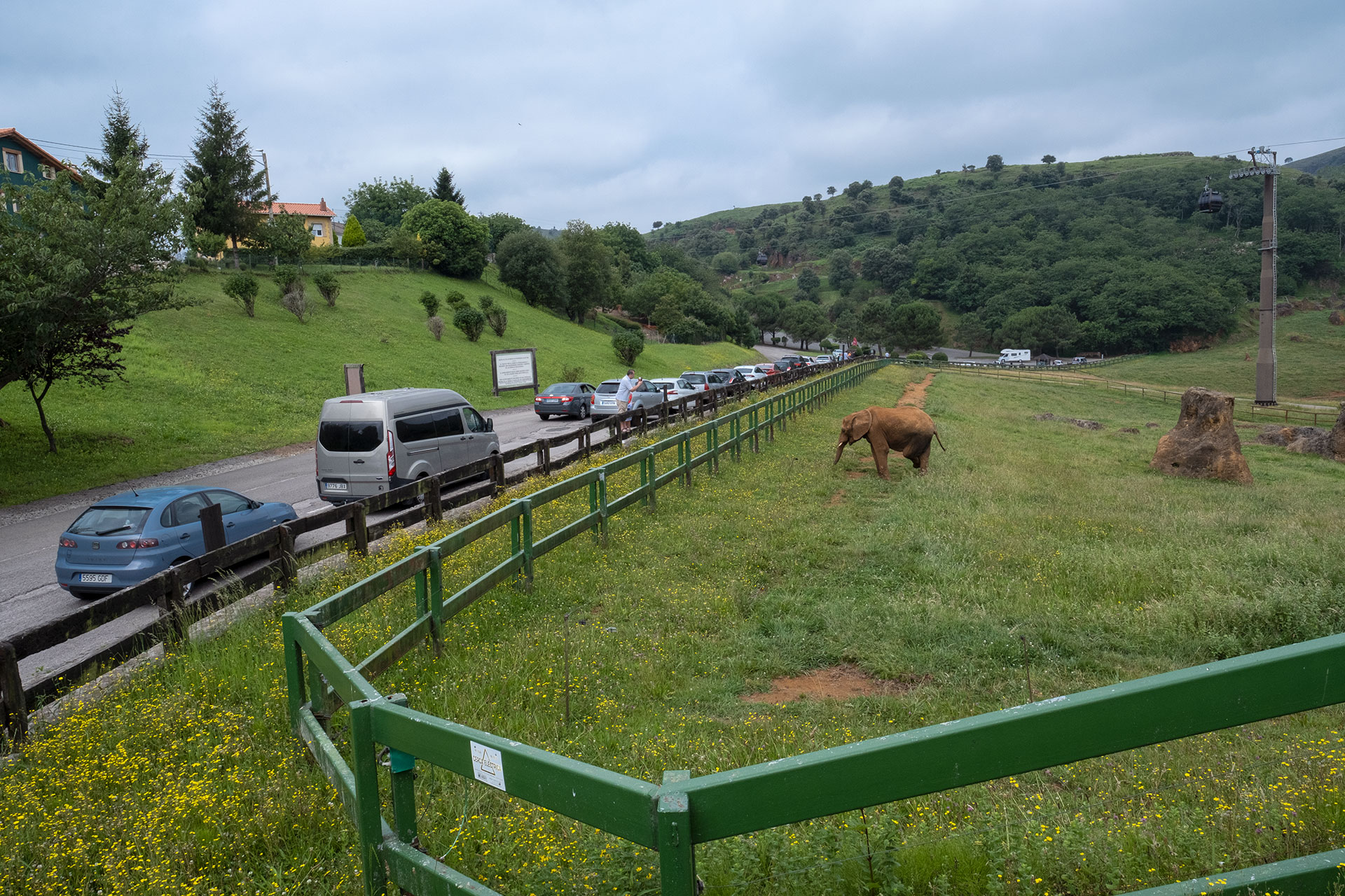 Elefantes junto a la carretera en Cabárceno