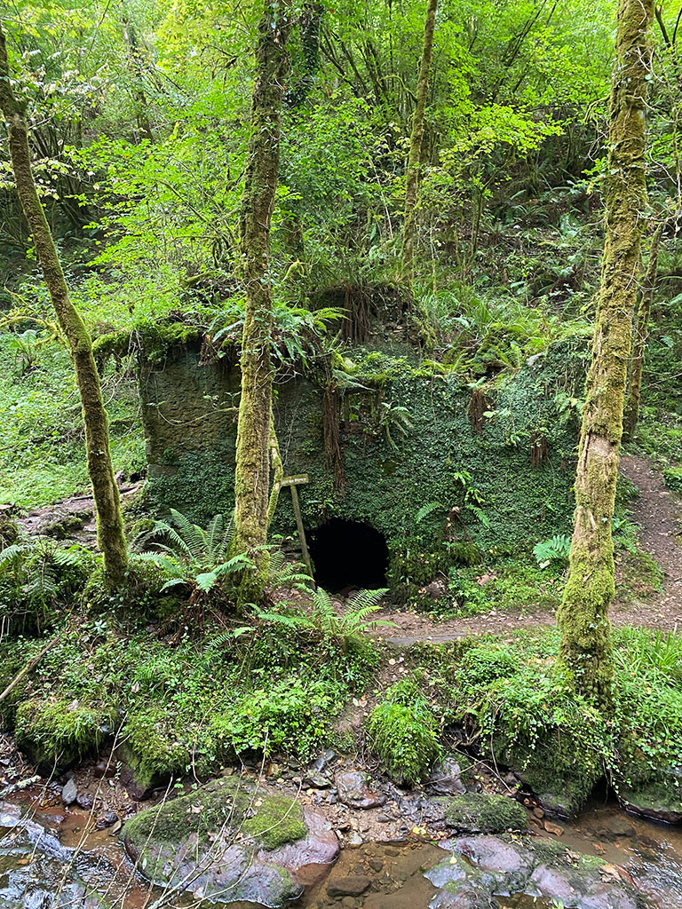 Molino en asturias