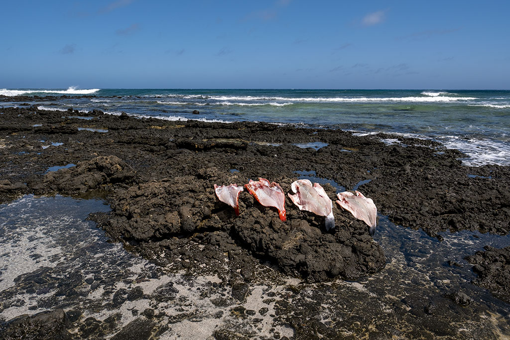 playa de jameos