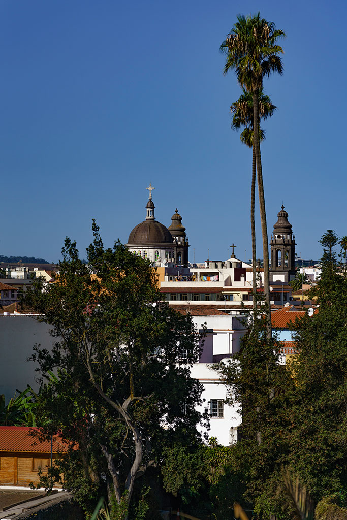 Catedral de La Laguna