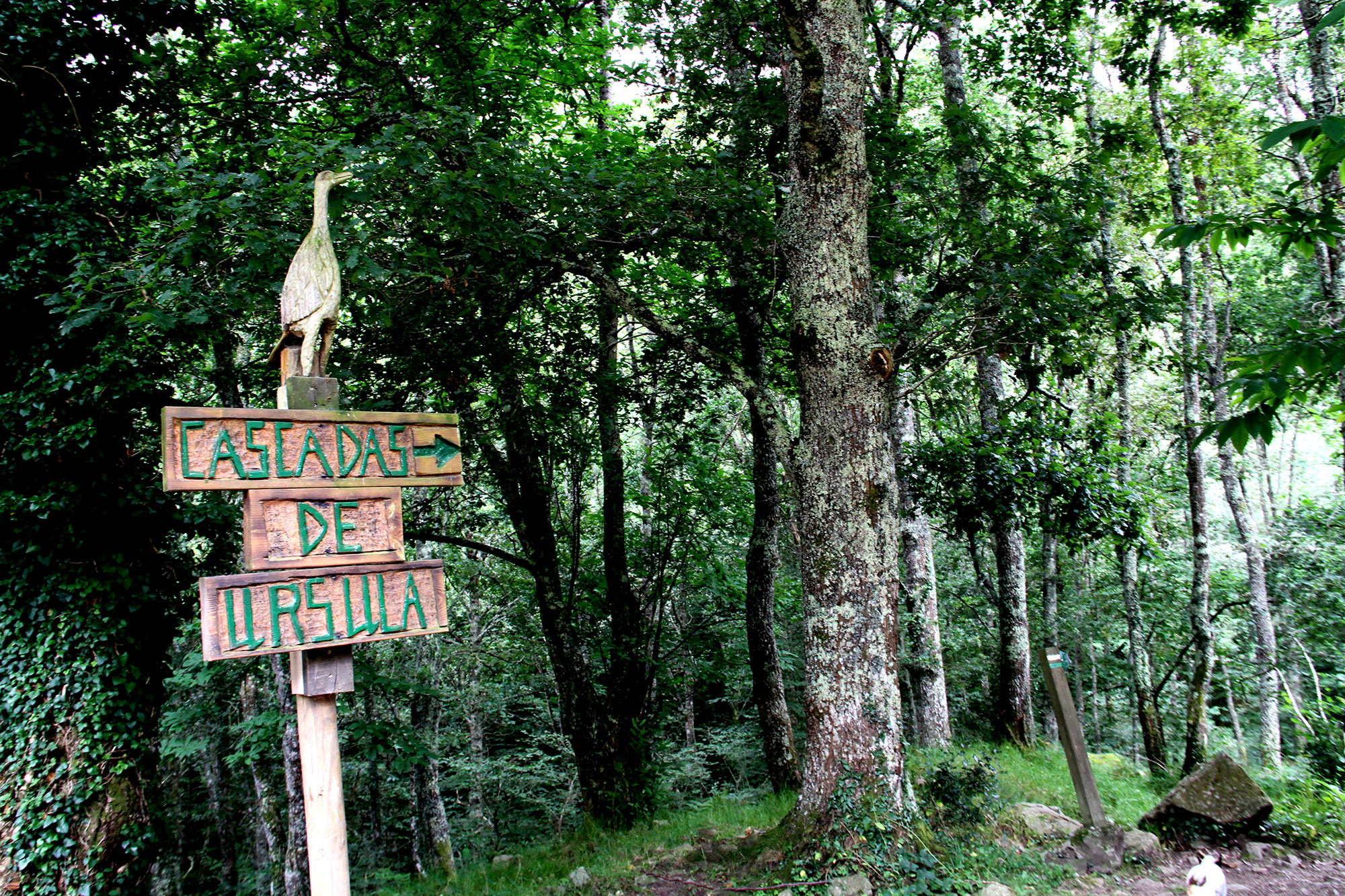 Cascadas de Úrsula Cantabria