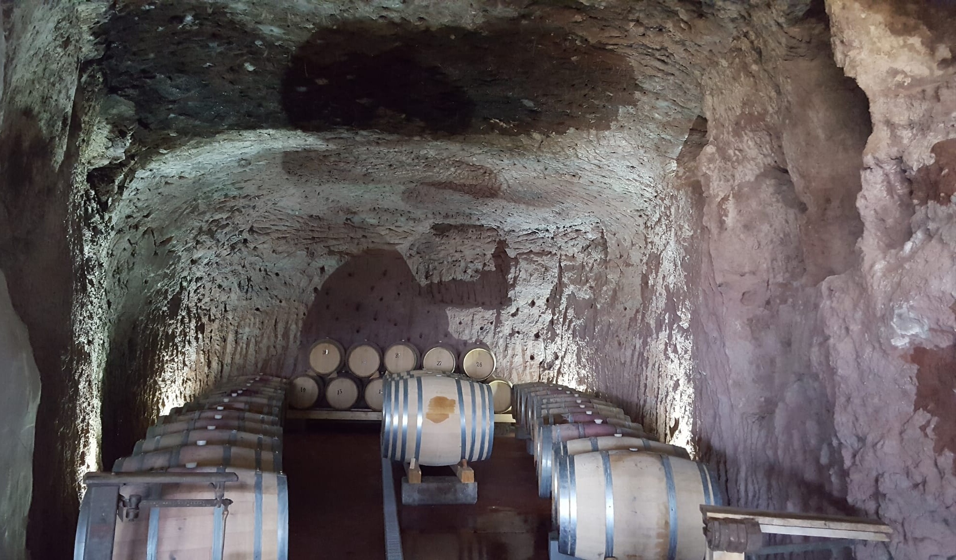 Bodegas bentayga Gran Canaria