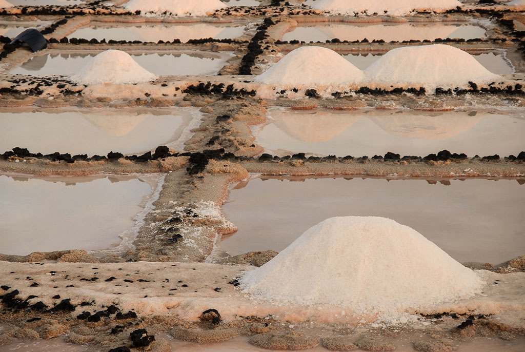 Salinas de los cocoteros Canarias