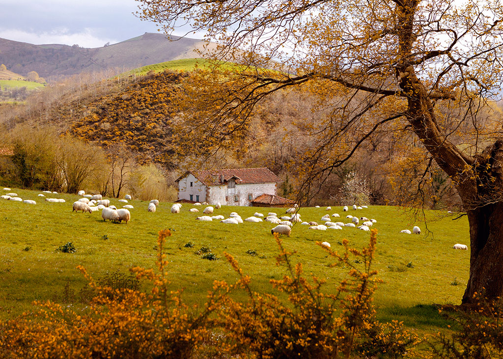 Arizkun Valle del baztan