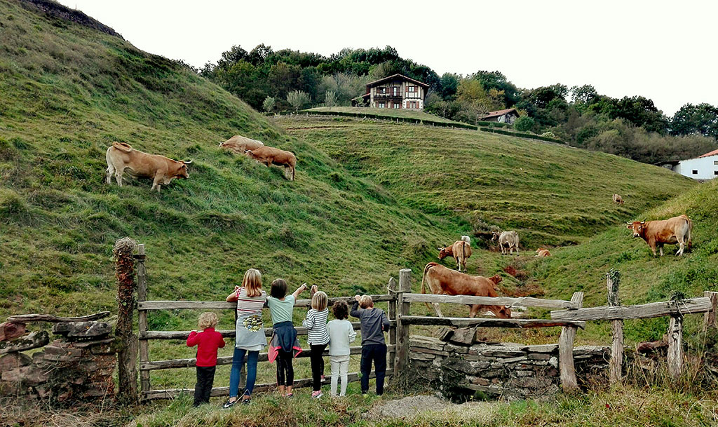 Valle del Baztan