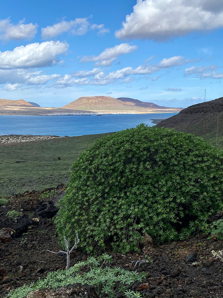 Camino de Los Gracioseros