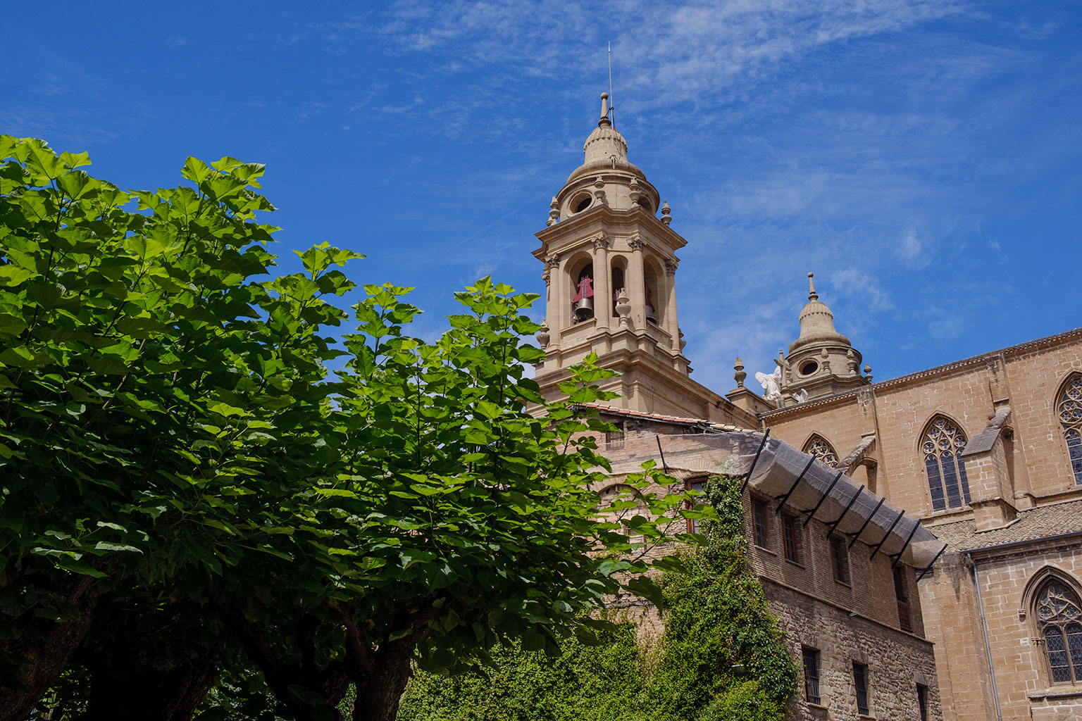 Huerto de la Catedral de Pamplona